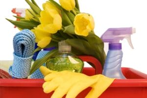 Get Your Home Shiny with our Spring Cleaning Tips