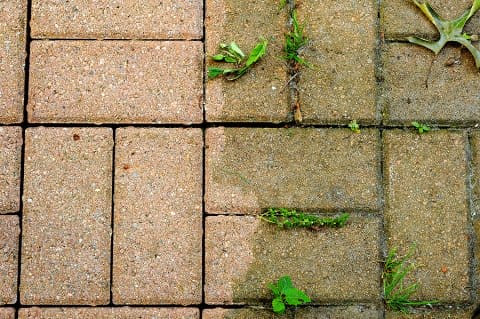 Perfect that patio of yours with our Budget Maids cleaning tips