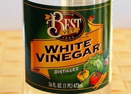 vinegar