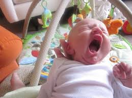 Germ-free homes for newborn babies Germ-free homes for newborn babies