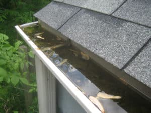 House Cleaning Falls Church—Gutter Cleaning